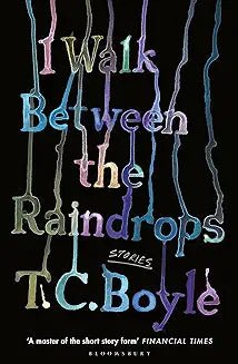 I Walk Between the Raindrops - Readers Warehouse