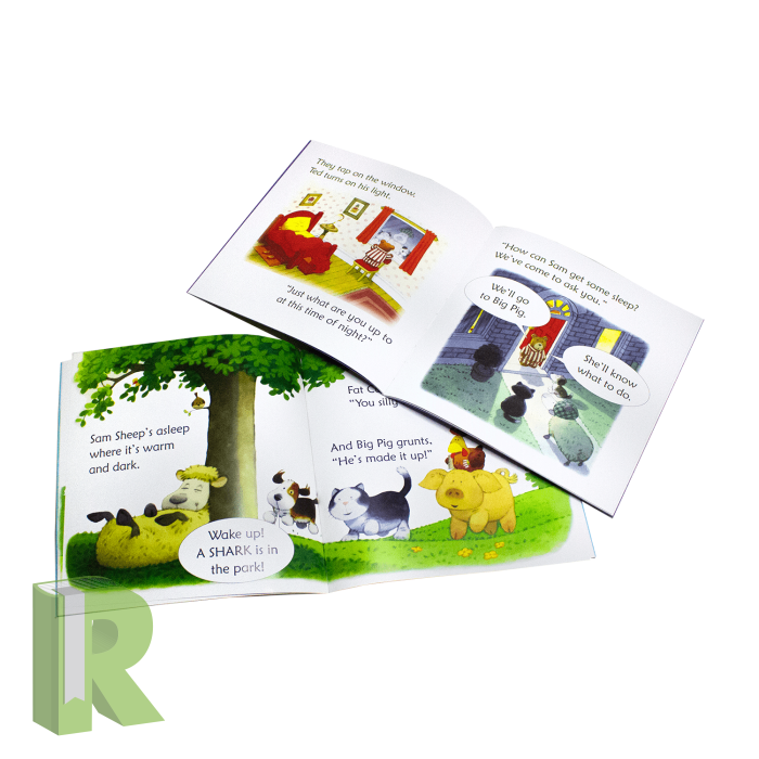 Usborne Phonics Readers 12 Book Box Set | Readers Warehouse